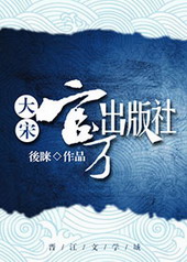 大宋官方出版社小说封面