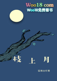 枝上月小说封面
