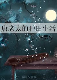 唐老太的種田生活小說封面